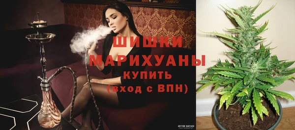 гидропоника Алзамай