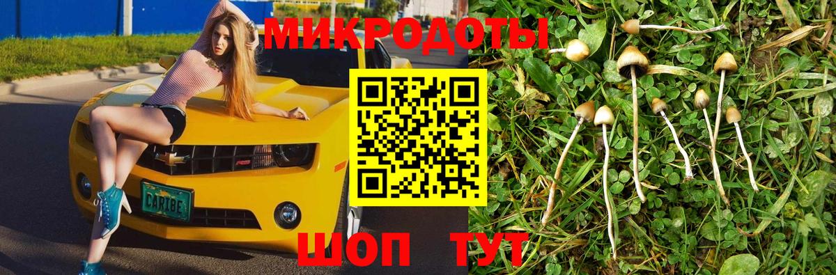 Псилоцибиновые грибы мухоморы Алексеевка