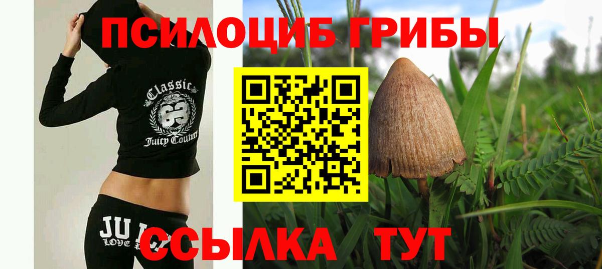 Алексеевка  наркошоп  Вход с VPN  Псилоцибиновые грибы MAGIC MUSHROOMS  Псилоцибиновые грибы Psilocybine cubensis 